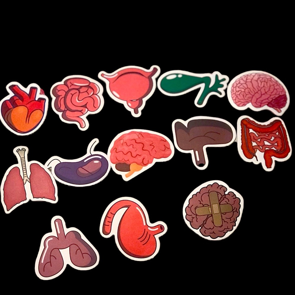 Organ colored stickers